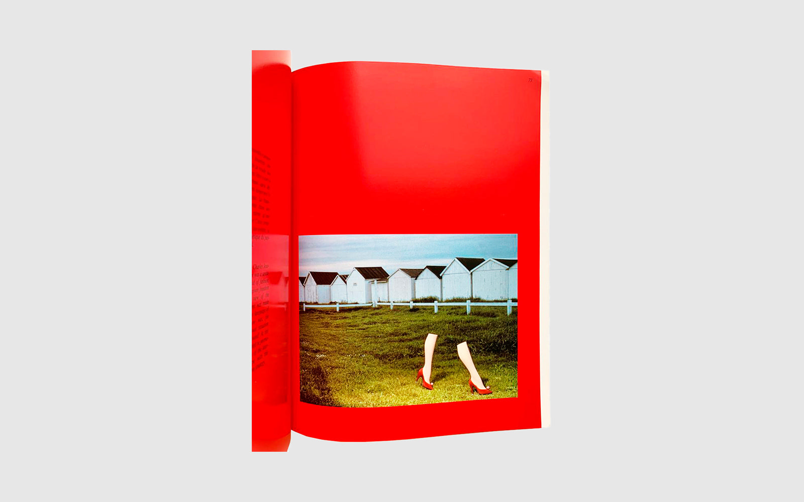 FAW, product: Charles Jourdan Paris (Fig. 3)