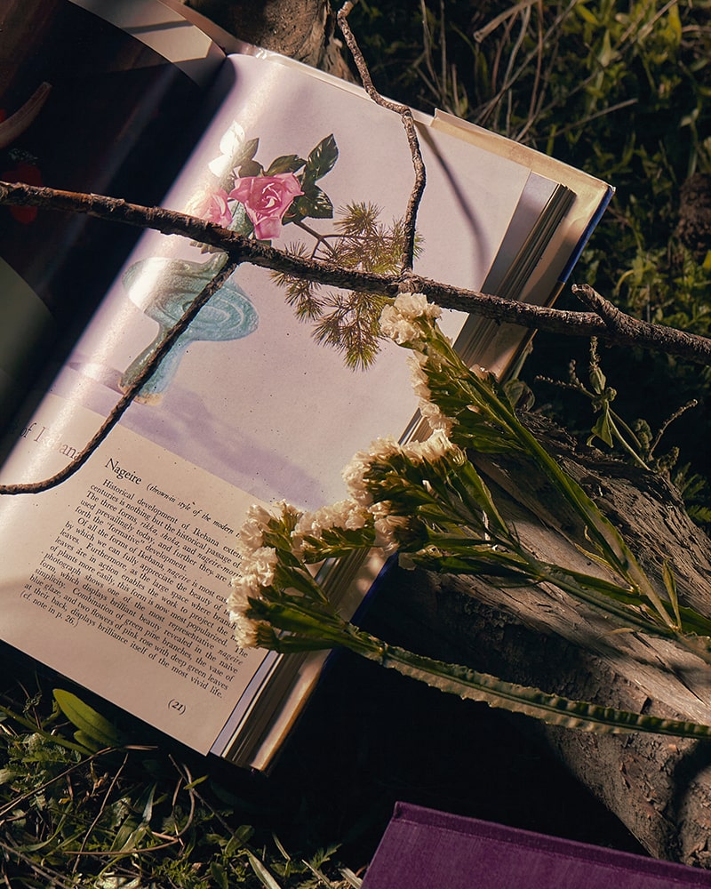 FAW, page: Bookroom (Fig. 5)