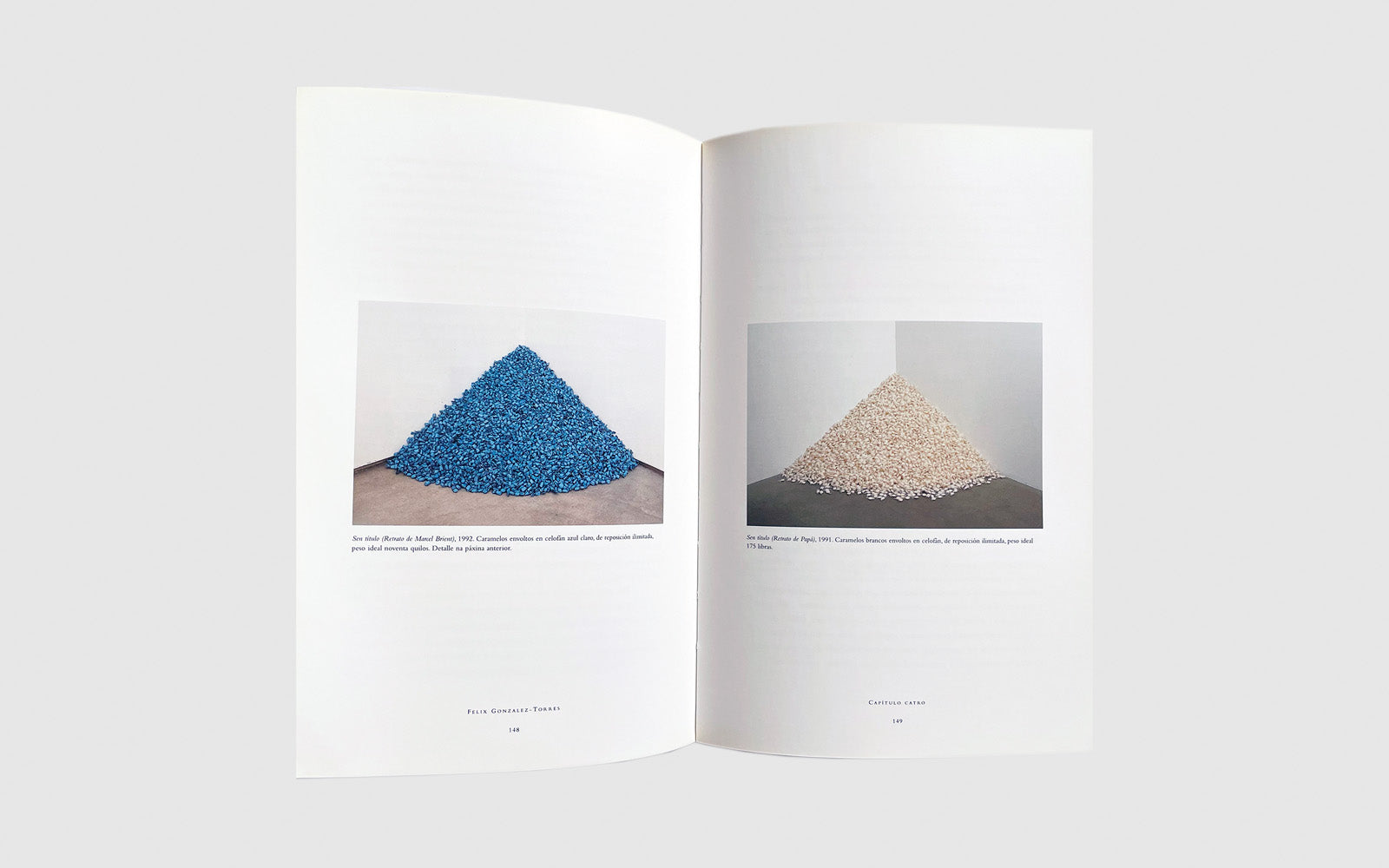 FAW, product: Félix González Torres (Fig. 8)