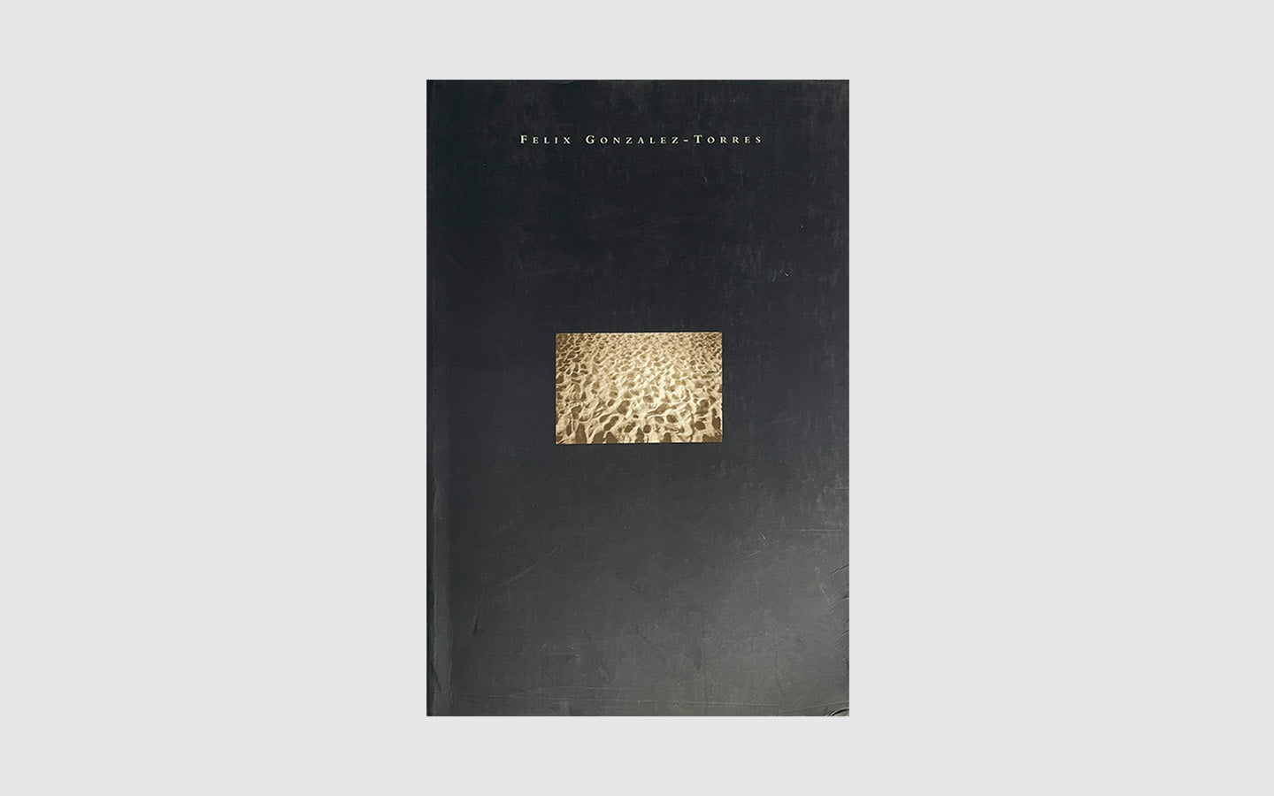 FAW, product: Félix González Torres (Fig. 1)