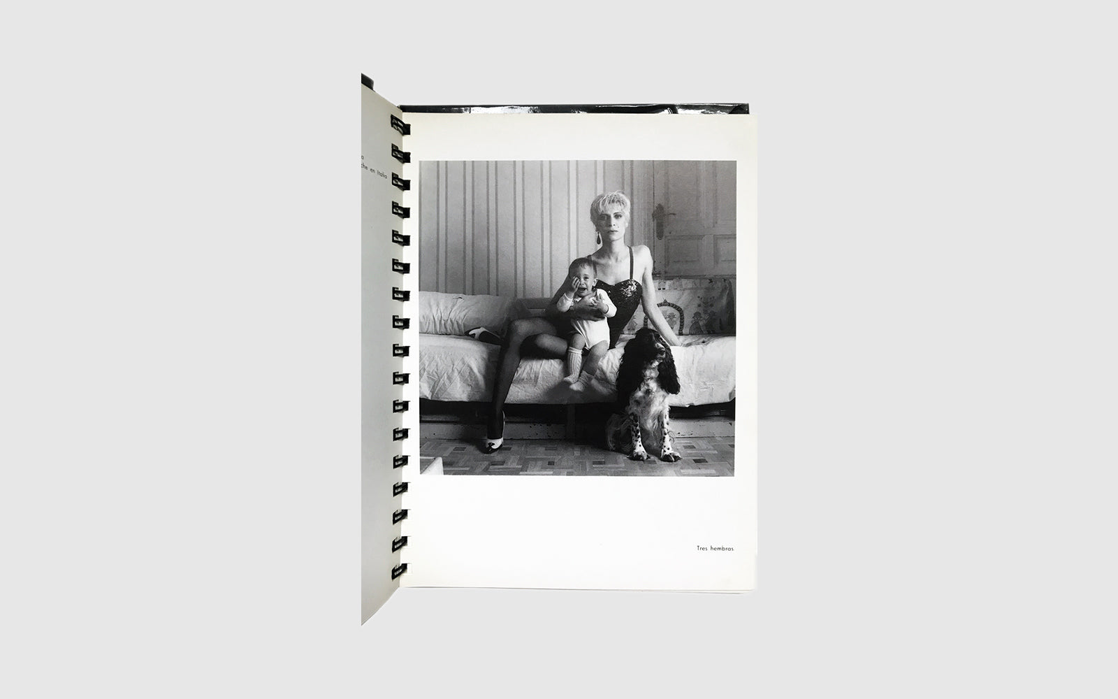 FAW, product: MUJERES (Fig. 7)