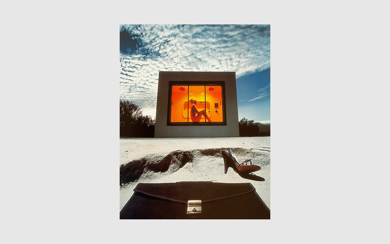 FAW, product: Photo Look International (Fig. 2)