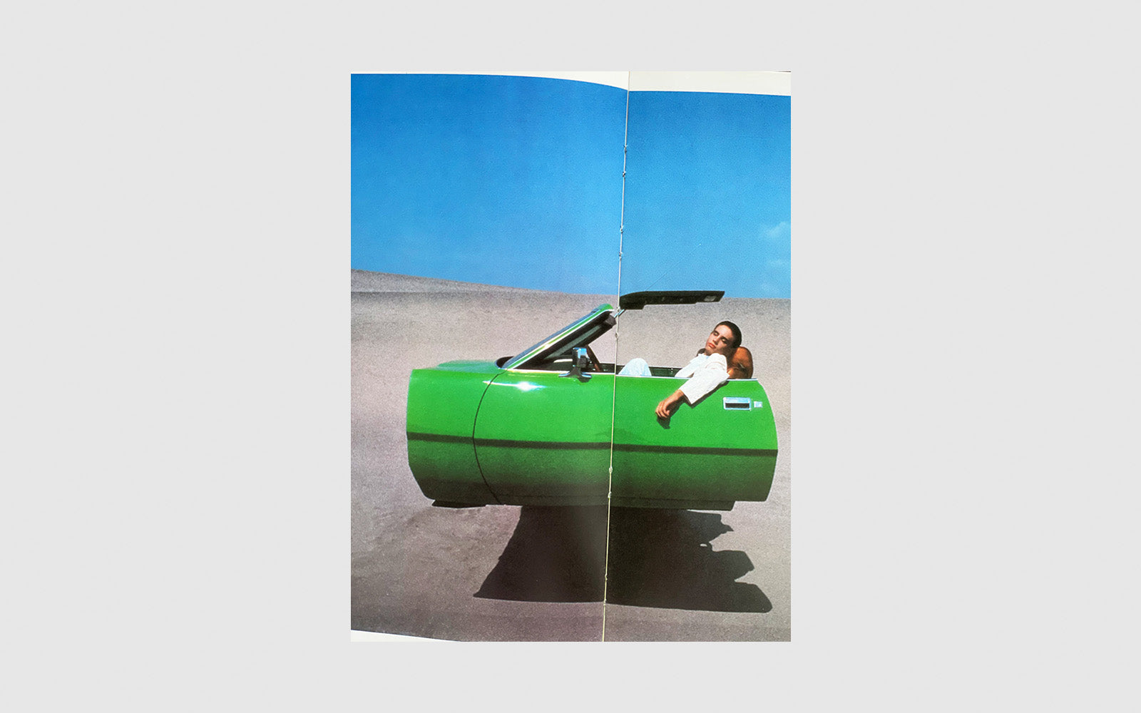 FAW, product: Photo Look International (Fig. 8)