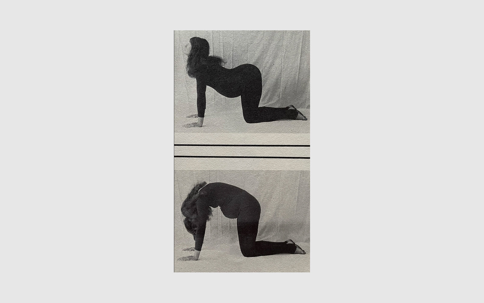 FAW, product: Prenatal Yoga & Natural Birth (Fig. 2)