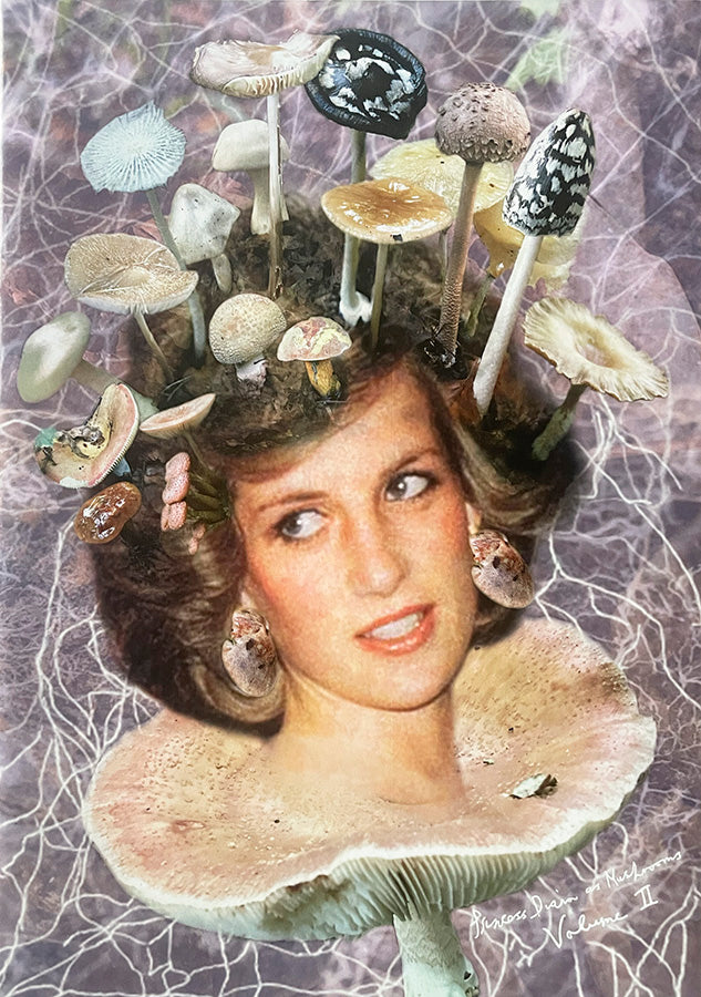 FAW, product: Princess Diana as mushrooms Vol. II (Thumbnail)