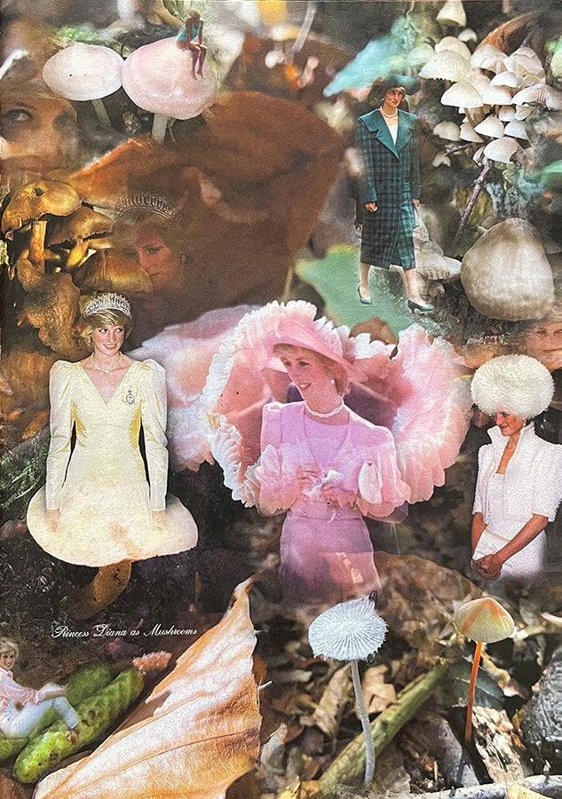 FAW, product: Princess Diana as mushrooms Vol. I (Thumbnail)