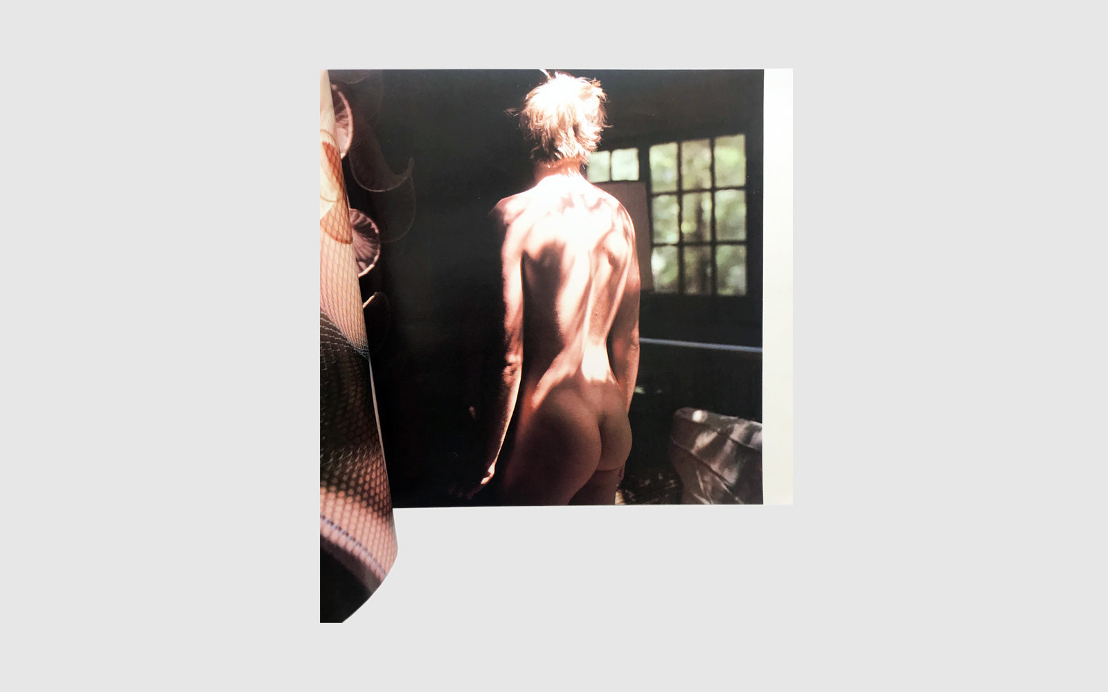 REAR VIEW