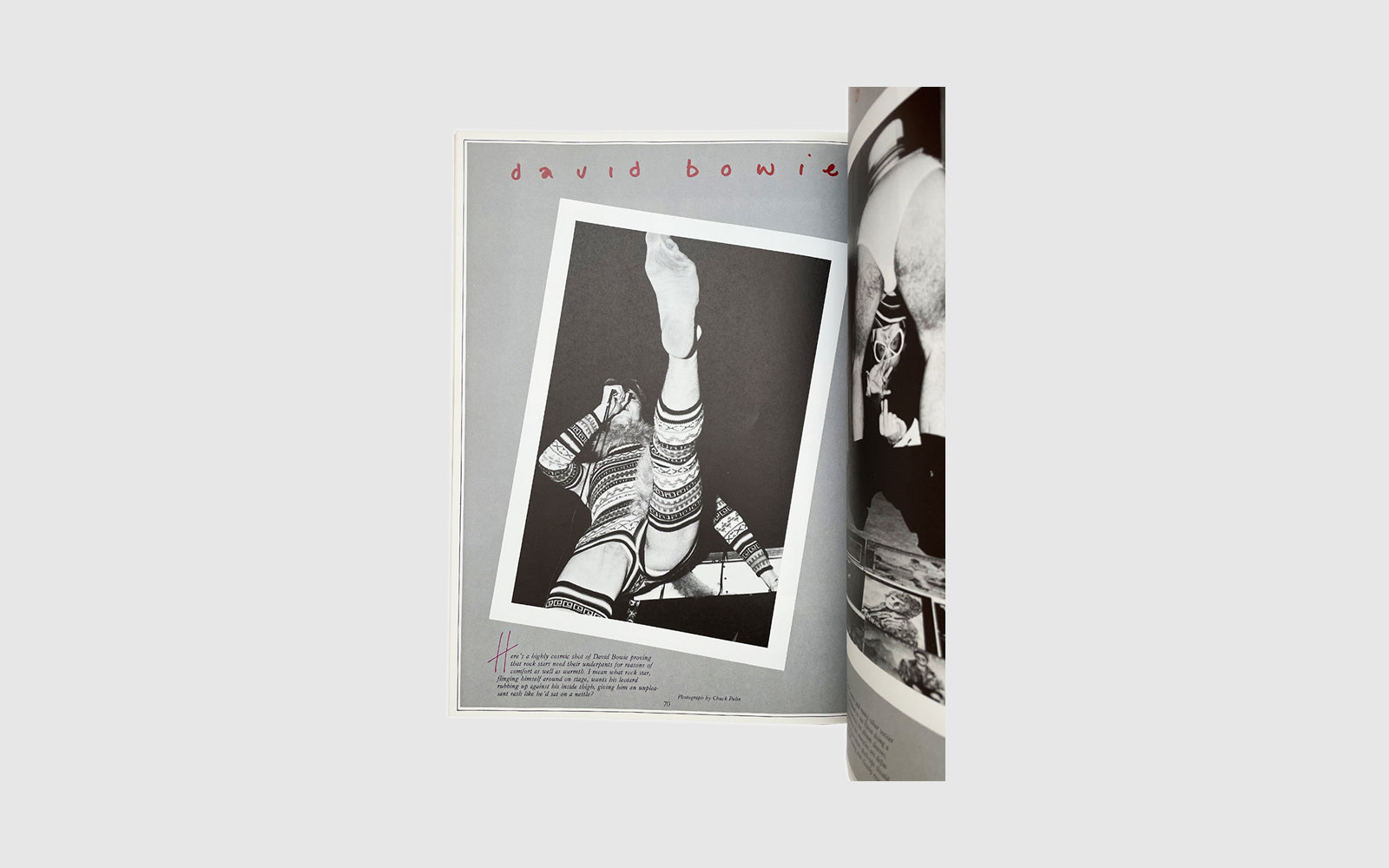 FAW, product: Rock Stars in their Underpants (Fig. 8)