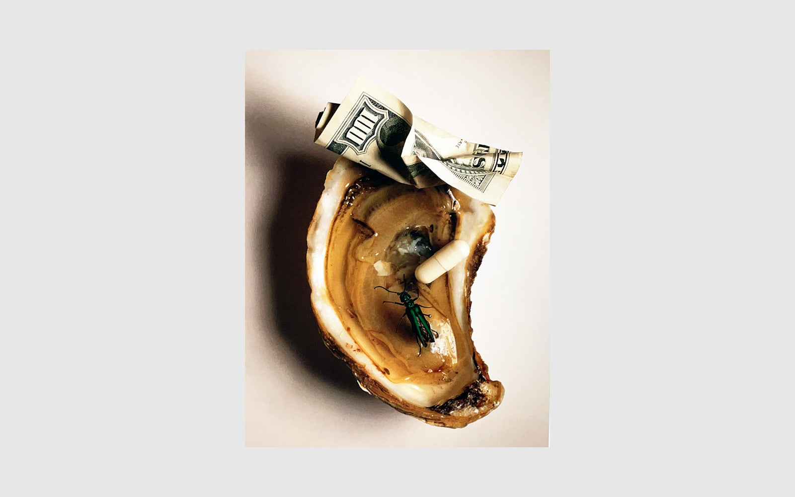 Still Life