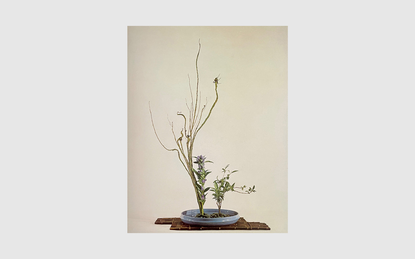 The Art of Arranging Flowers