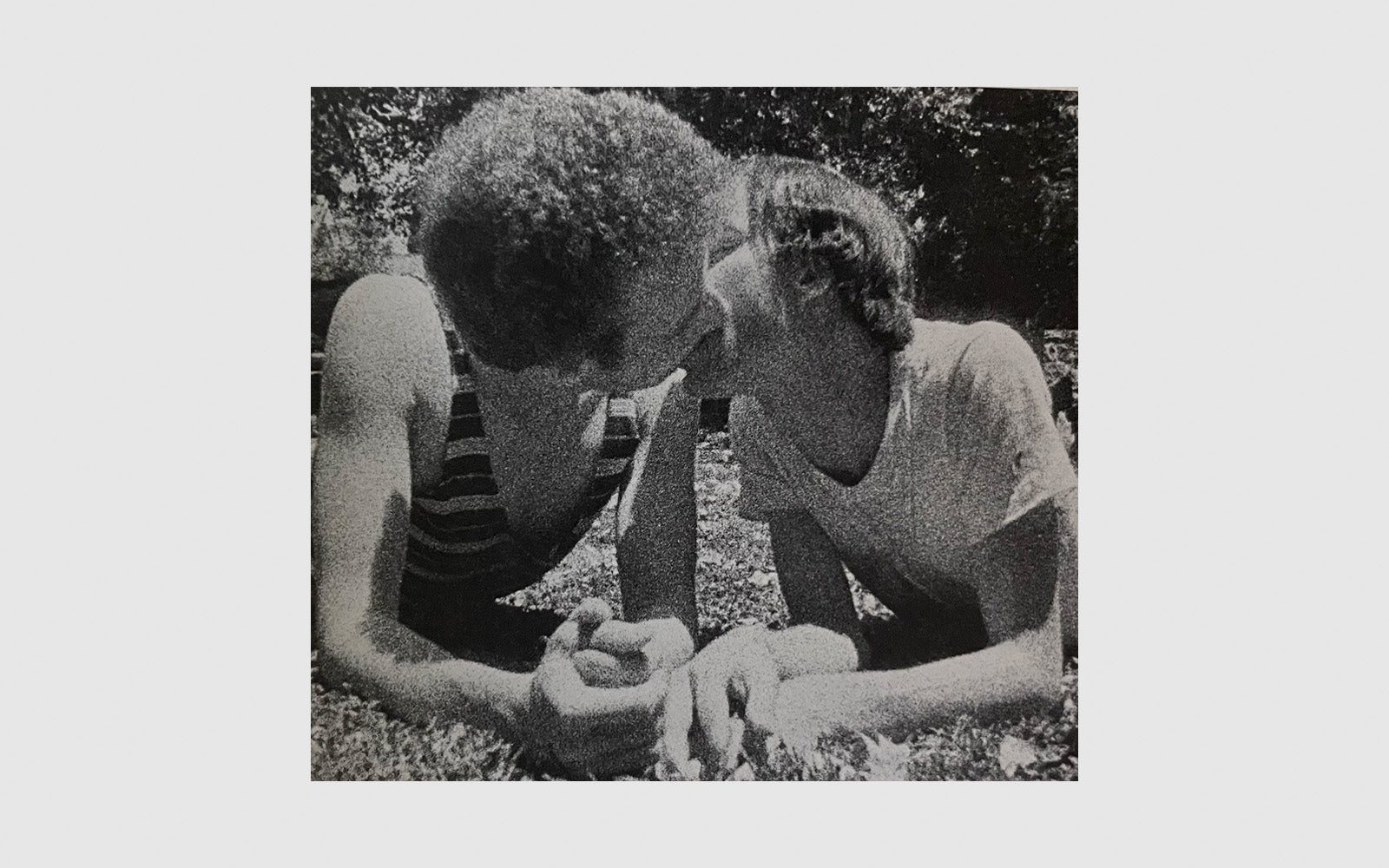 The Gay Liberation Book