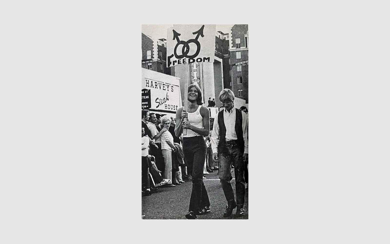 The Gay Liberation Book