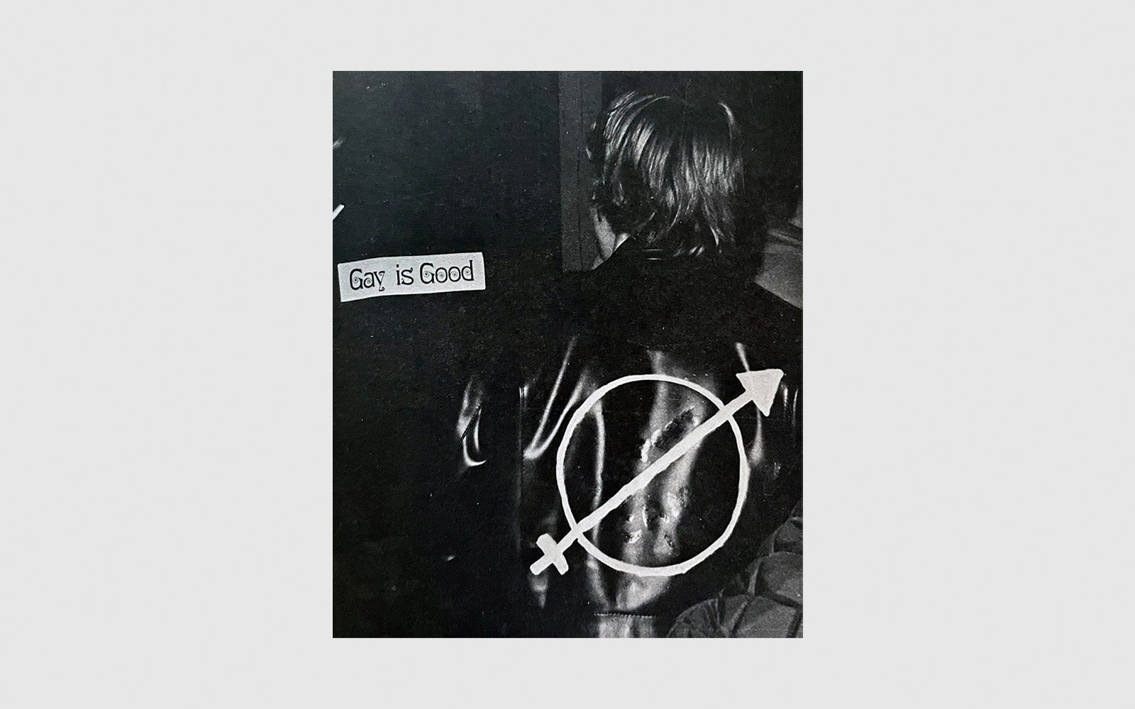 The Gay Liberation Book