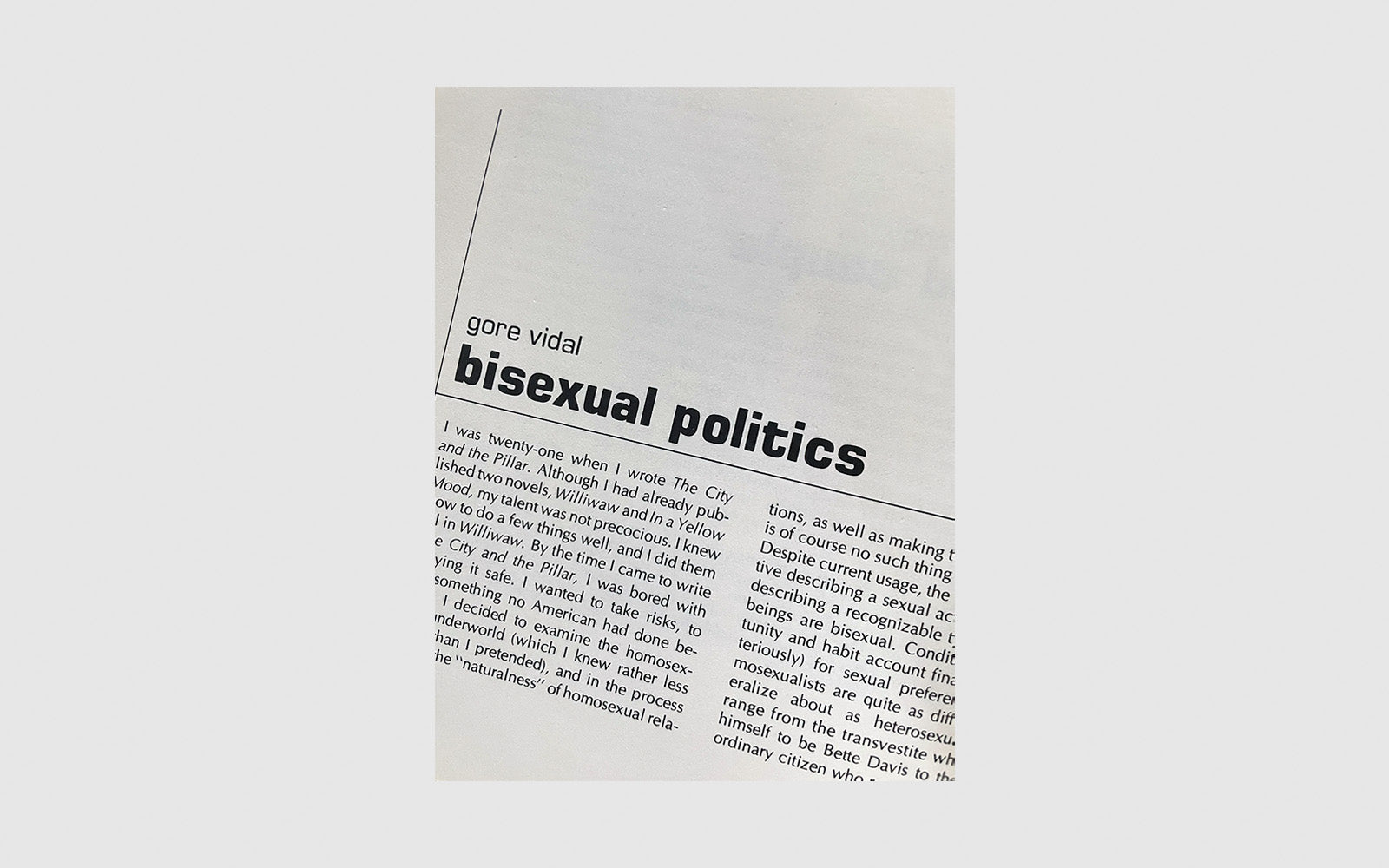 The Gay Liberation Book