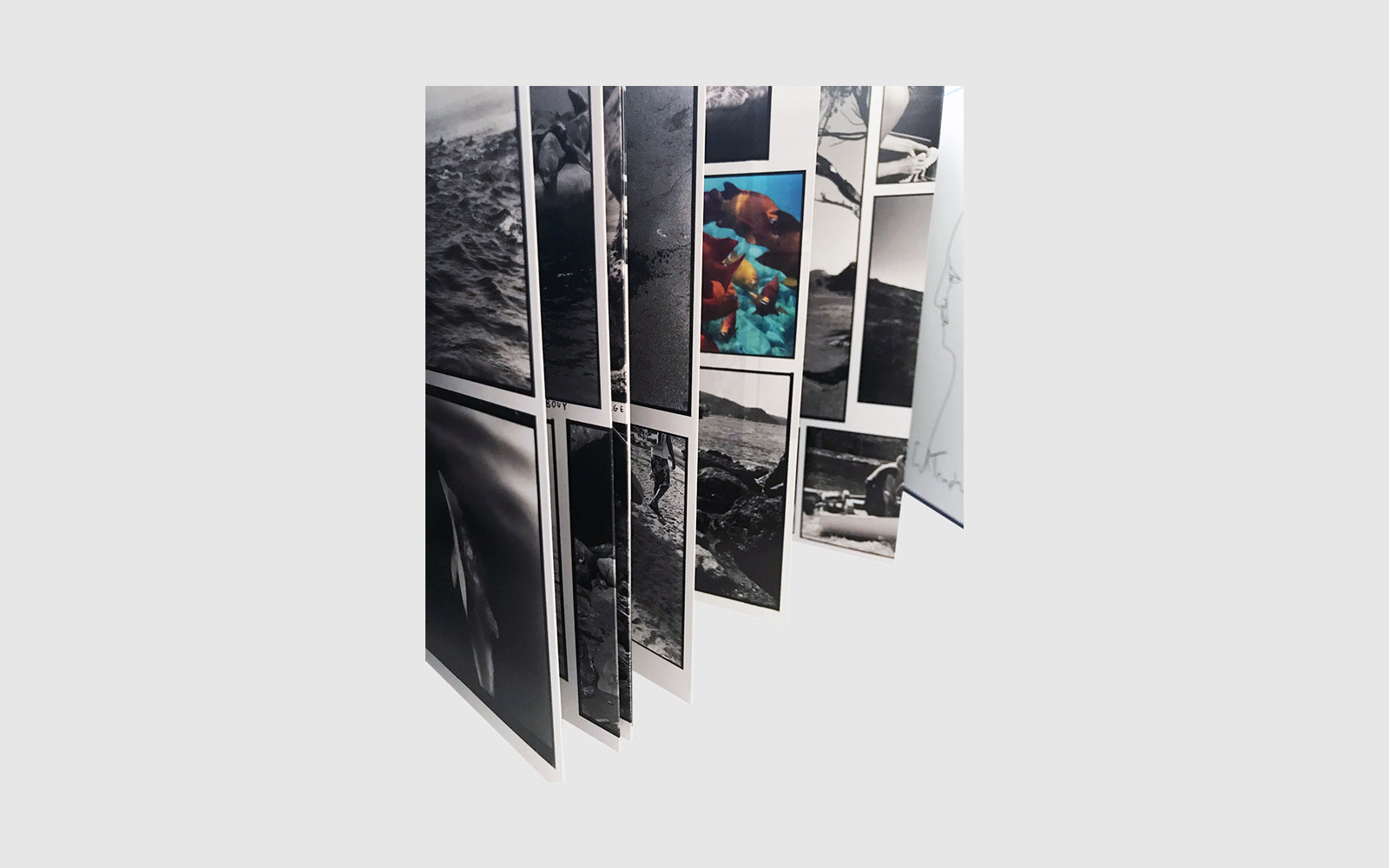 FAW, product: Adventures in the Nearby Far Away · SIGNED (Fig. 3)