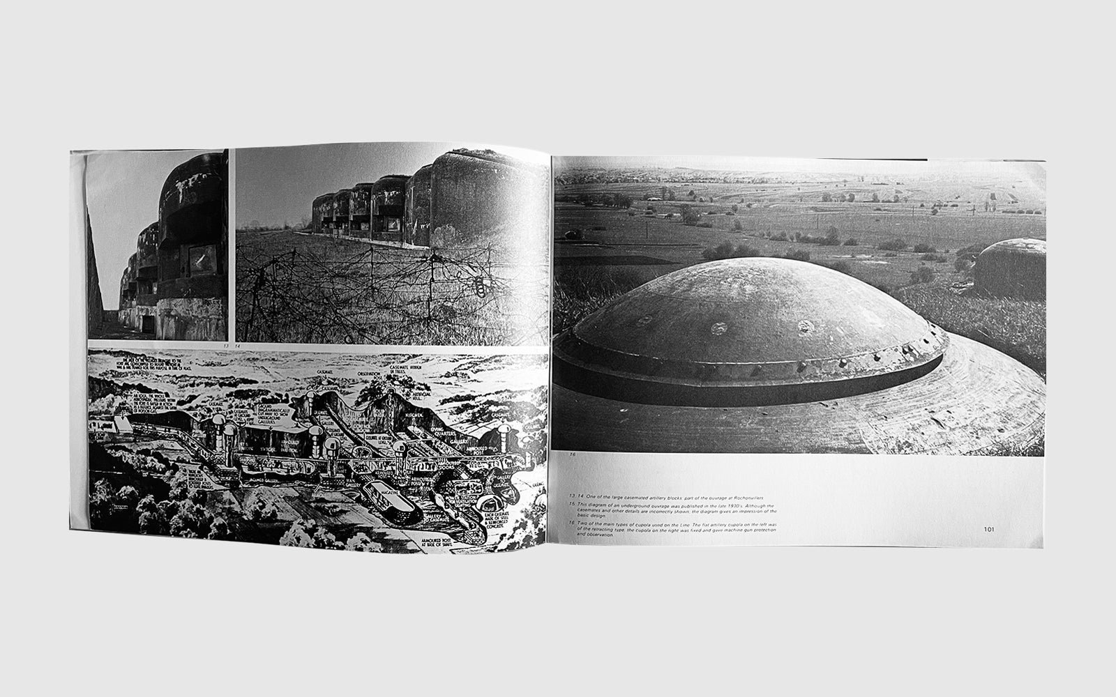 Architecture of Aggression
