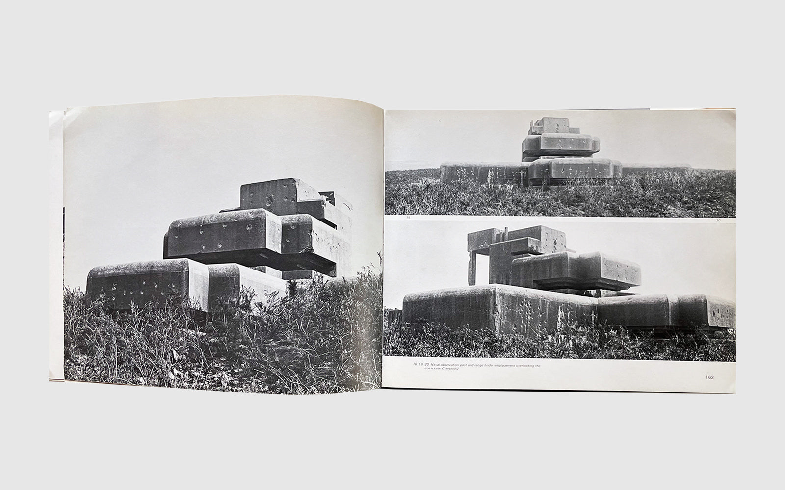 Architecture of Aggression