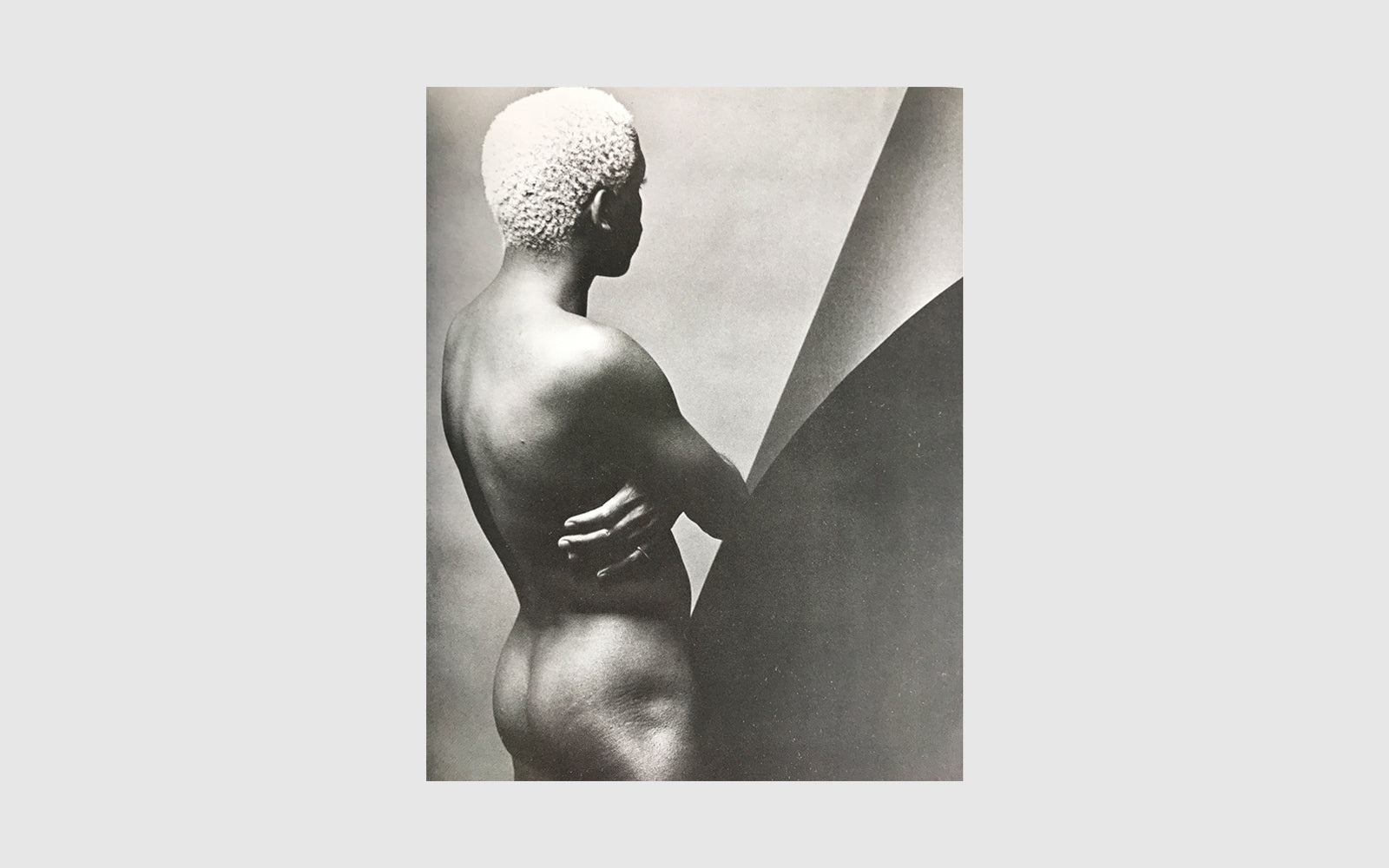 FAW, product: BLACK MALES (Fig. 1)