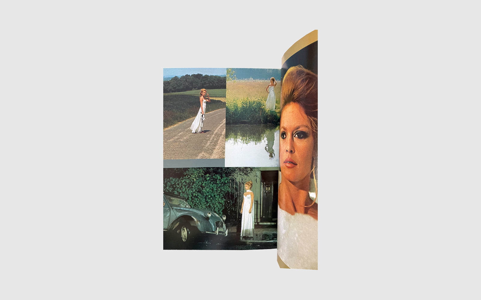 Brigitte Bardot Icon Book