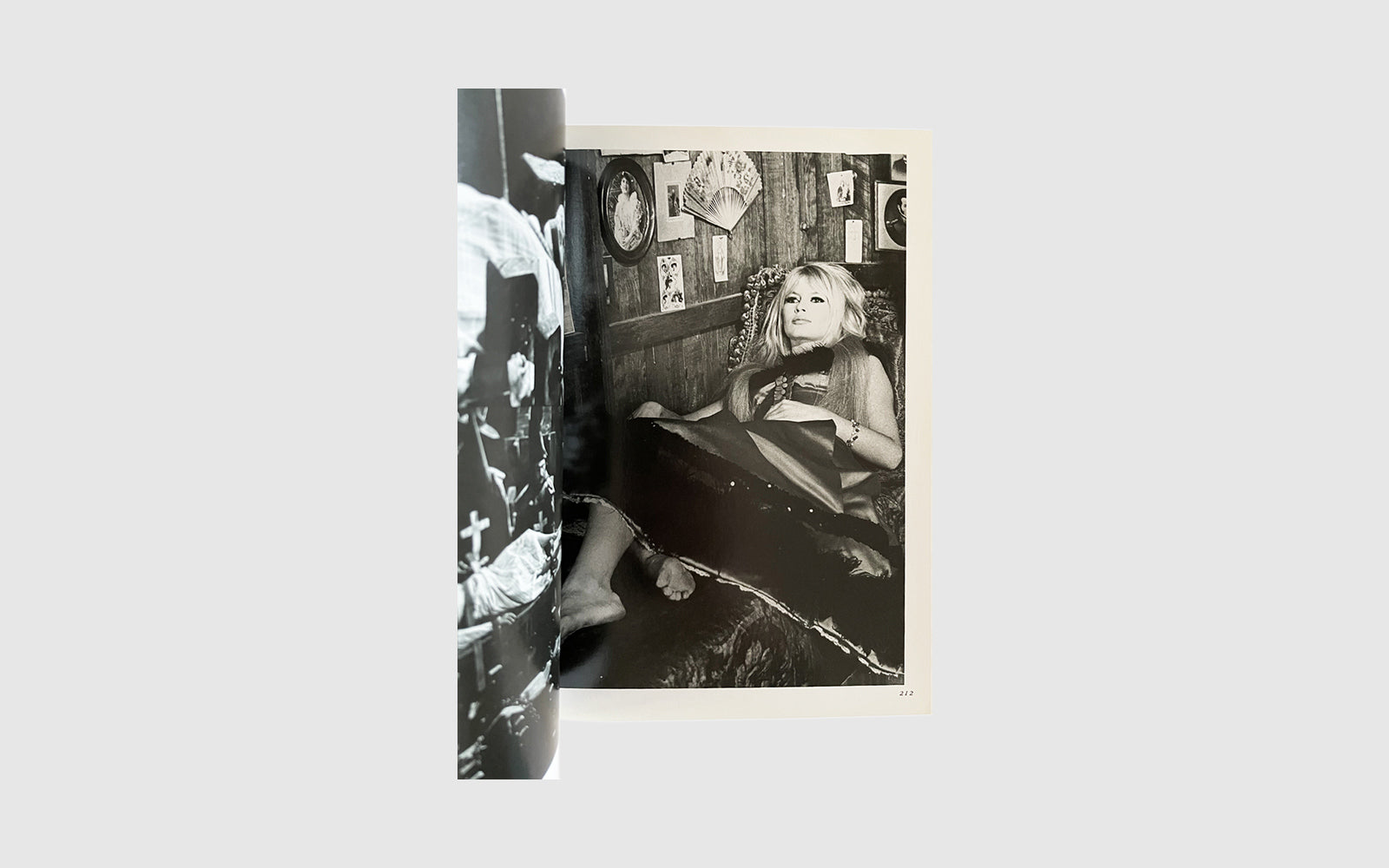 Brigitte Bardot Icon Book