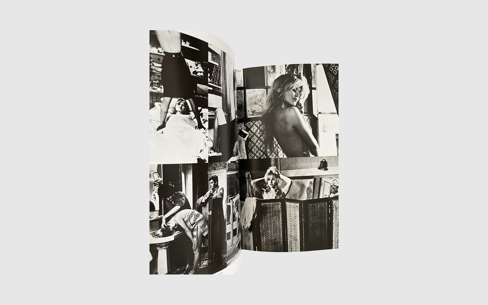 Brigitte Bardot Icon Book