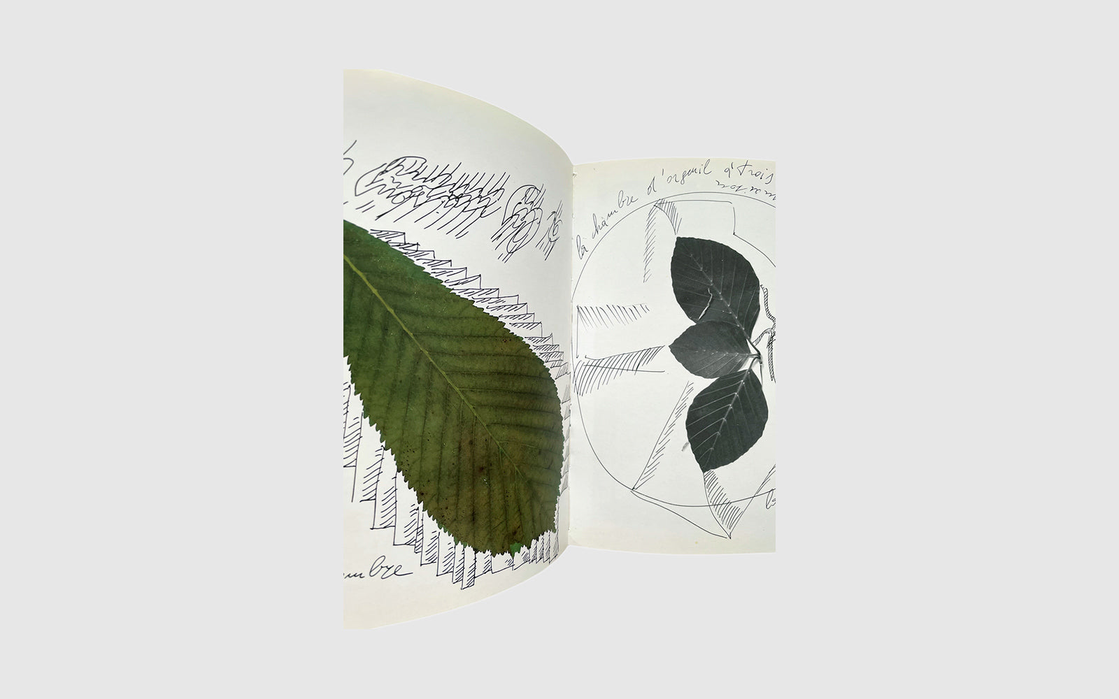 FAW, product: chambres d'amis (Fig. 7)