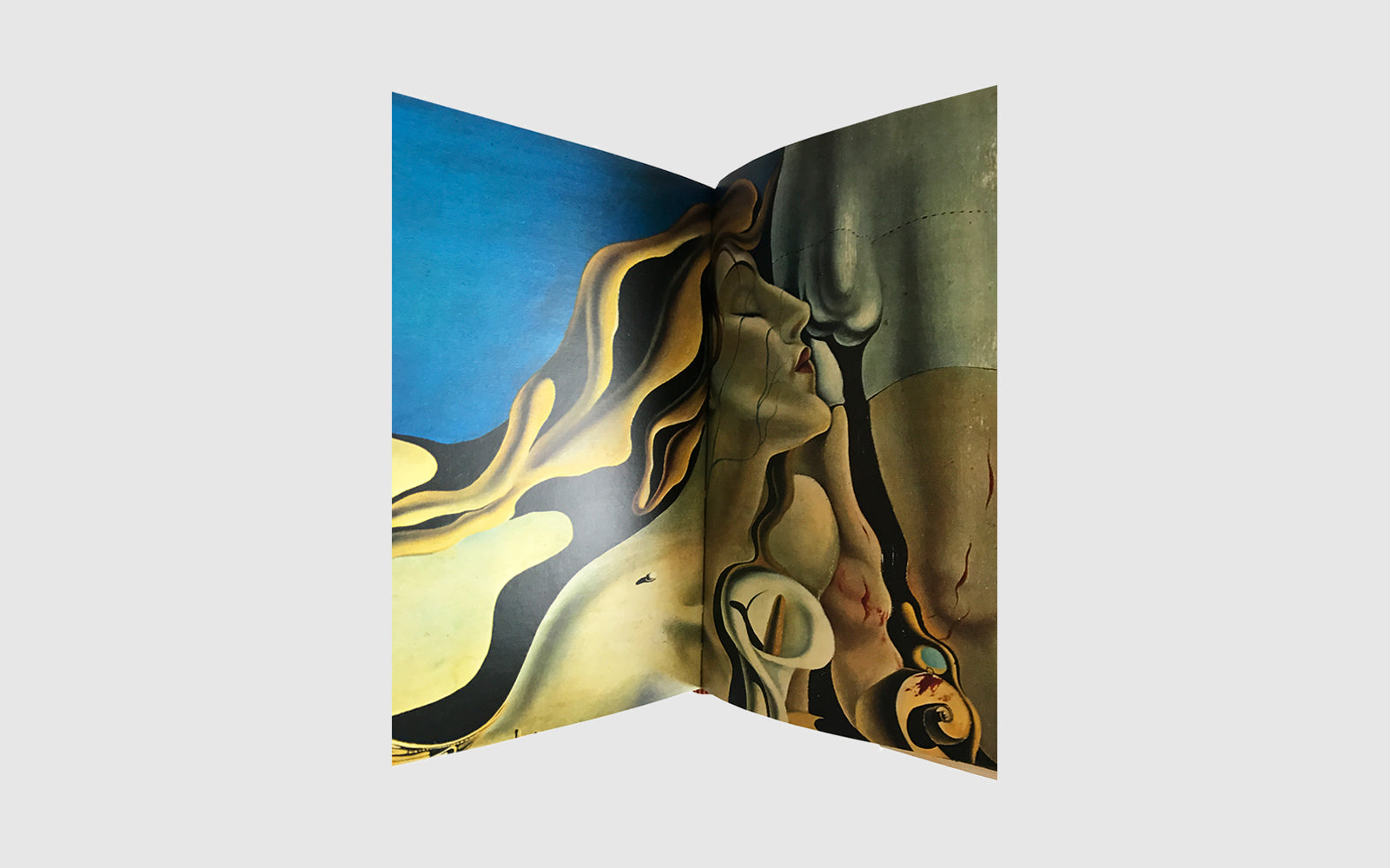 DALI by DALI