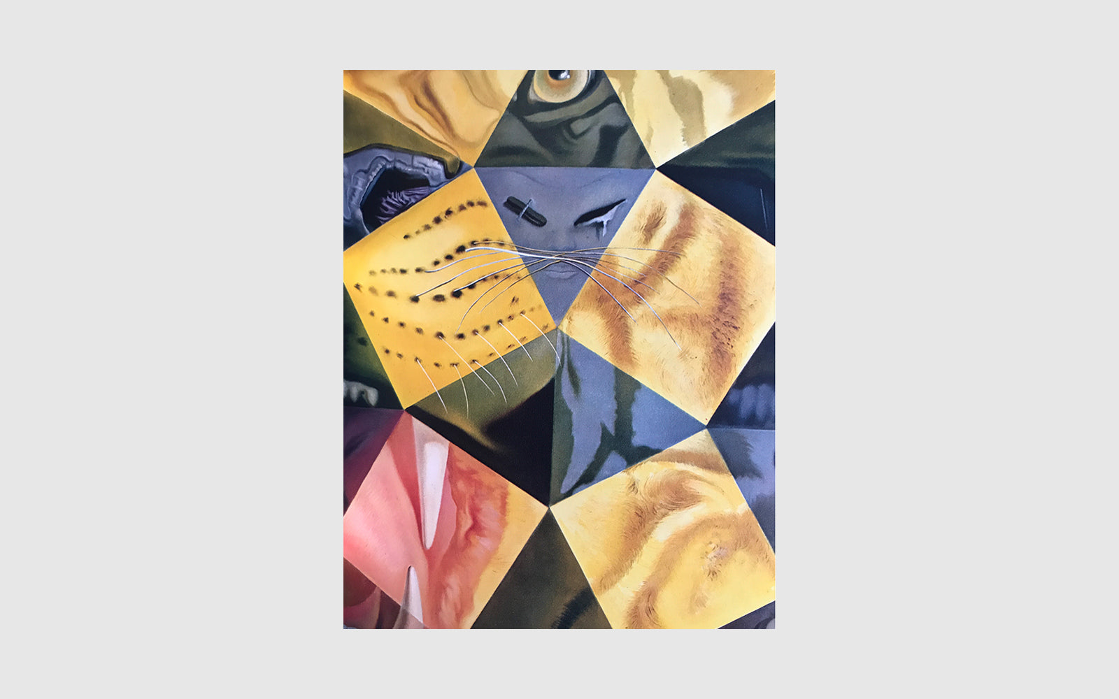 DALI by DALI