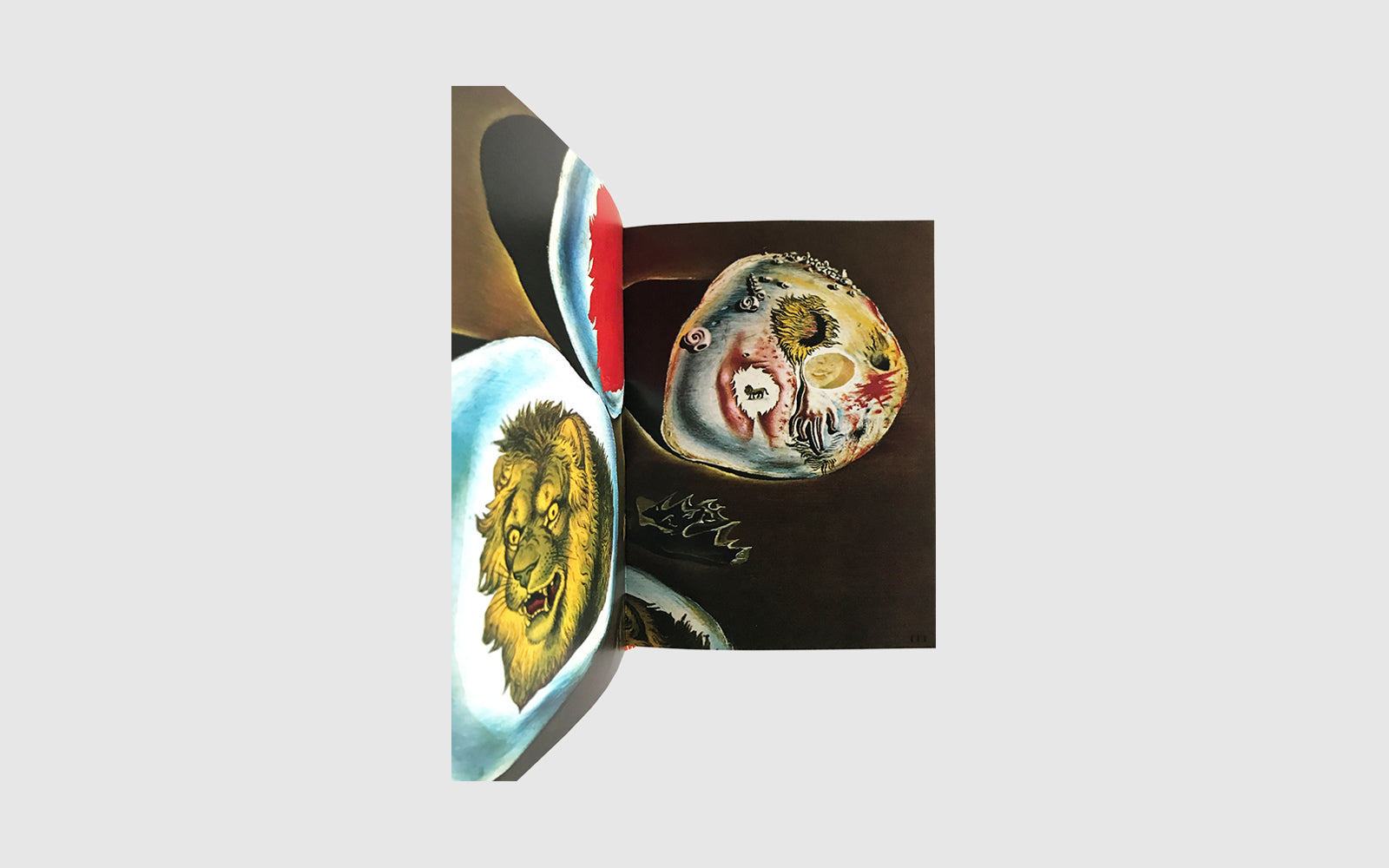 DALI by DALI