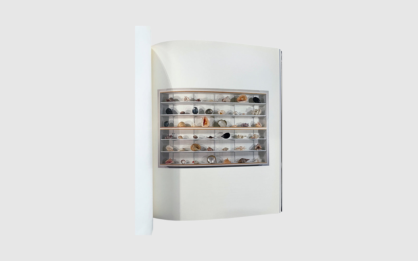 Damien Hirst