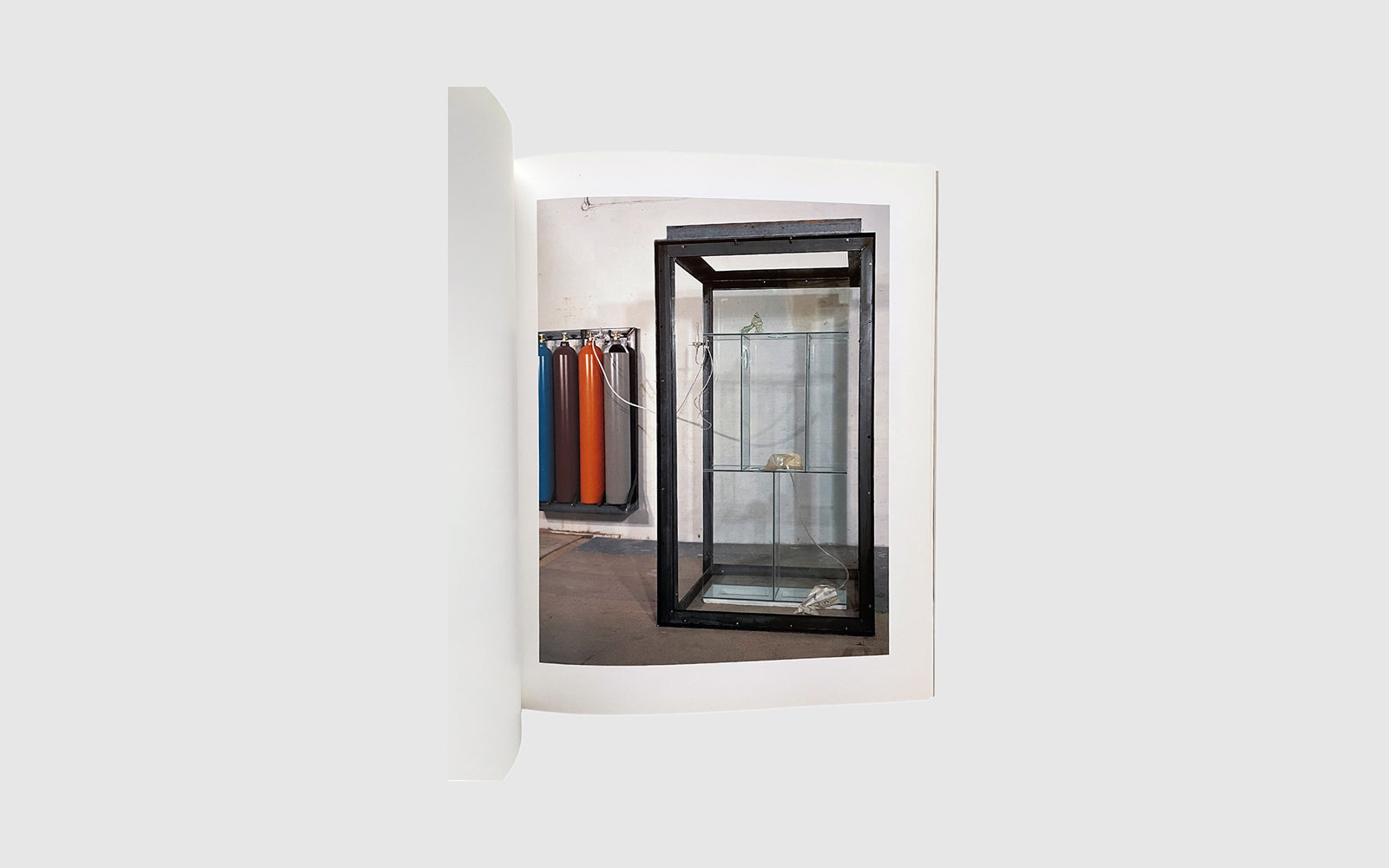 Damien Hirst