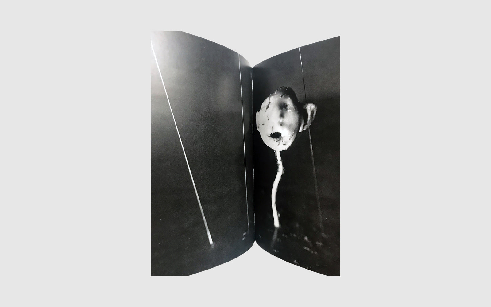 DAVID LYNCH