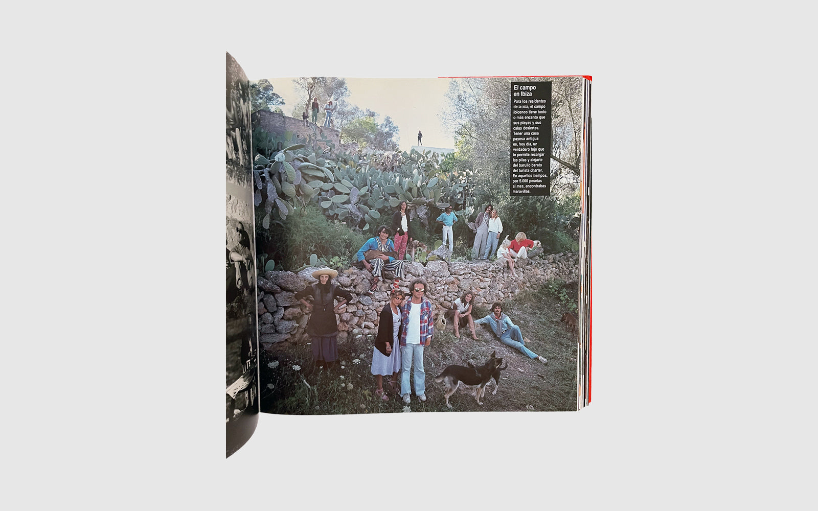 EL BAILE PACHÁ 1966-1993