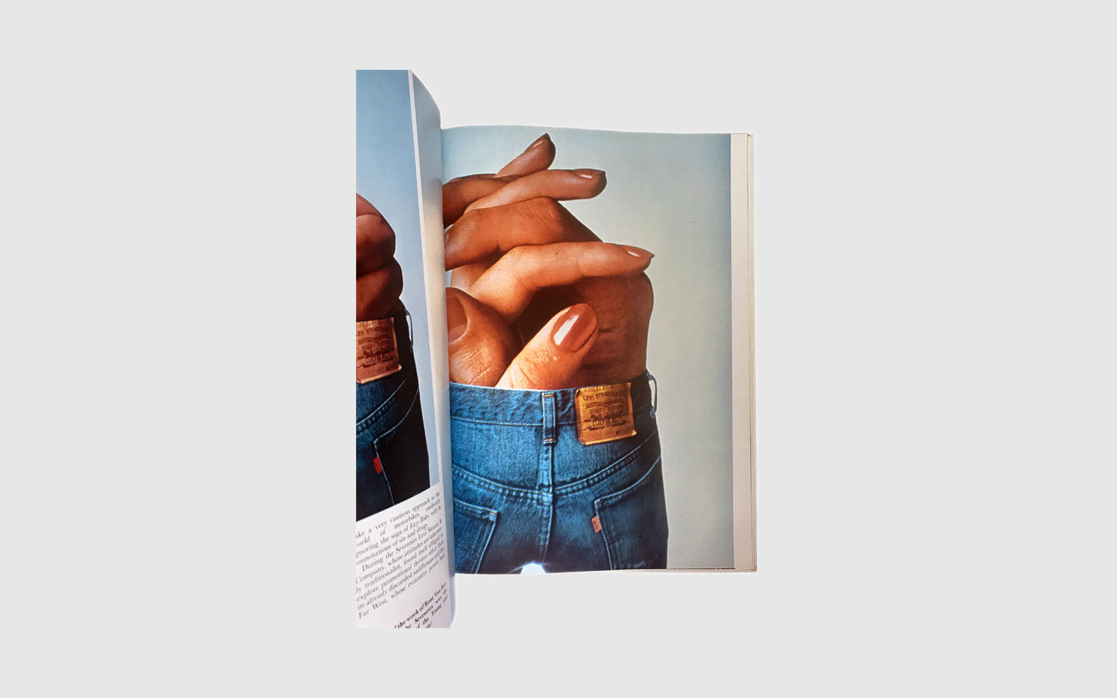 FAW, product: Levi Strauss History (Fig. 1)