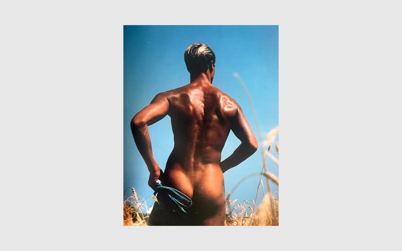 FAW, product: Levi Strauss History (Fig. 2)