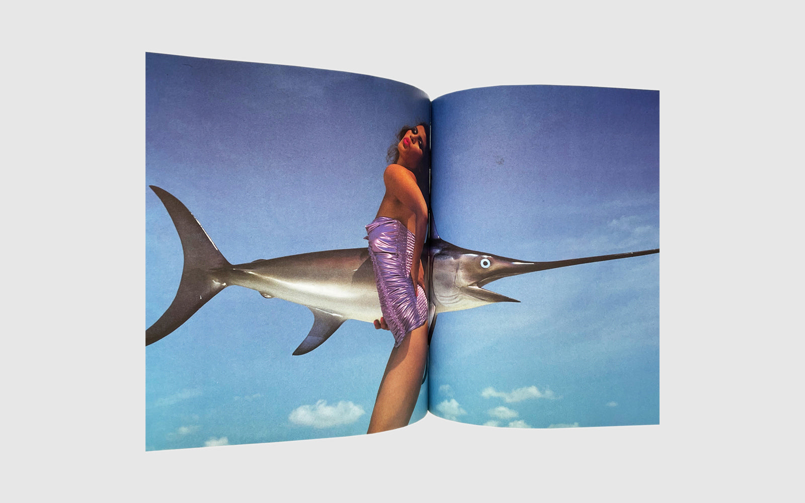 FAW, product: Liberi Tutti Fiorucci (Fig. 3)