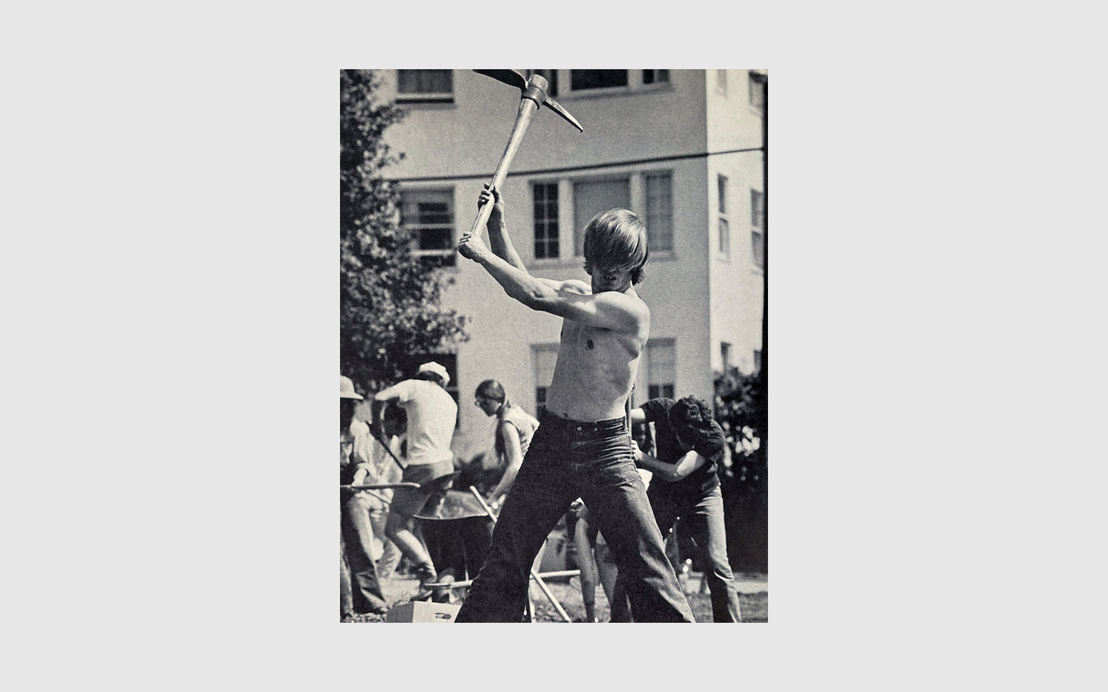 FAW, product: People's Park (Fig. 1)