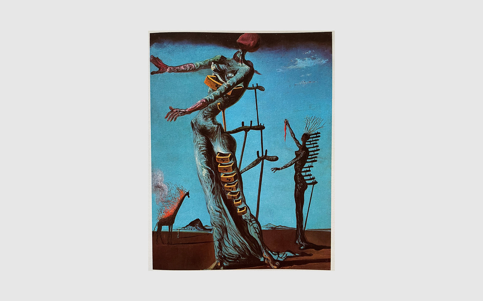 FAW, product: Salvador Dali 1920-1980 (Fig. 1)