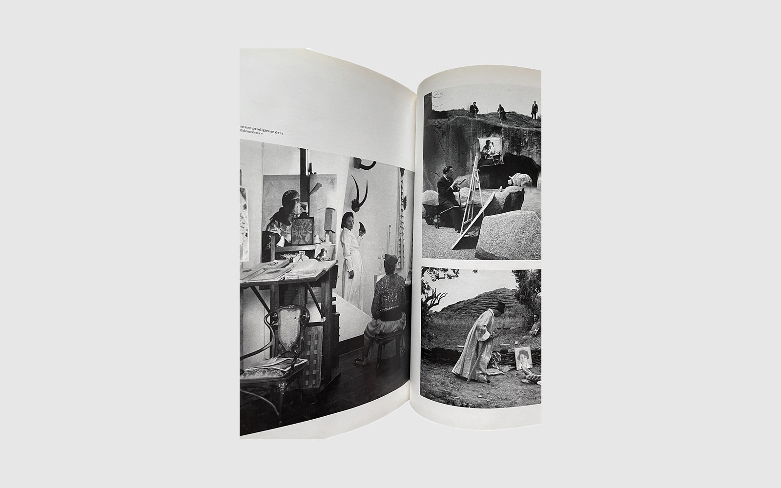 FAW, product: Salvador Dali 1920-1980 (Fig. 2)