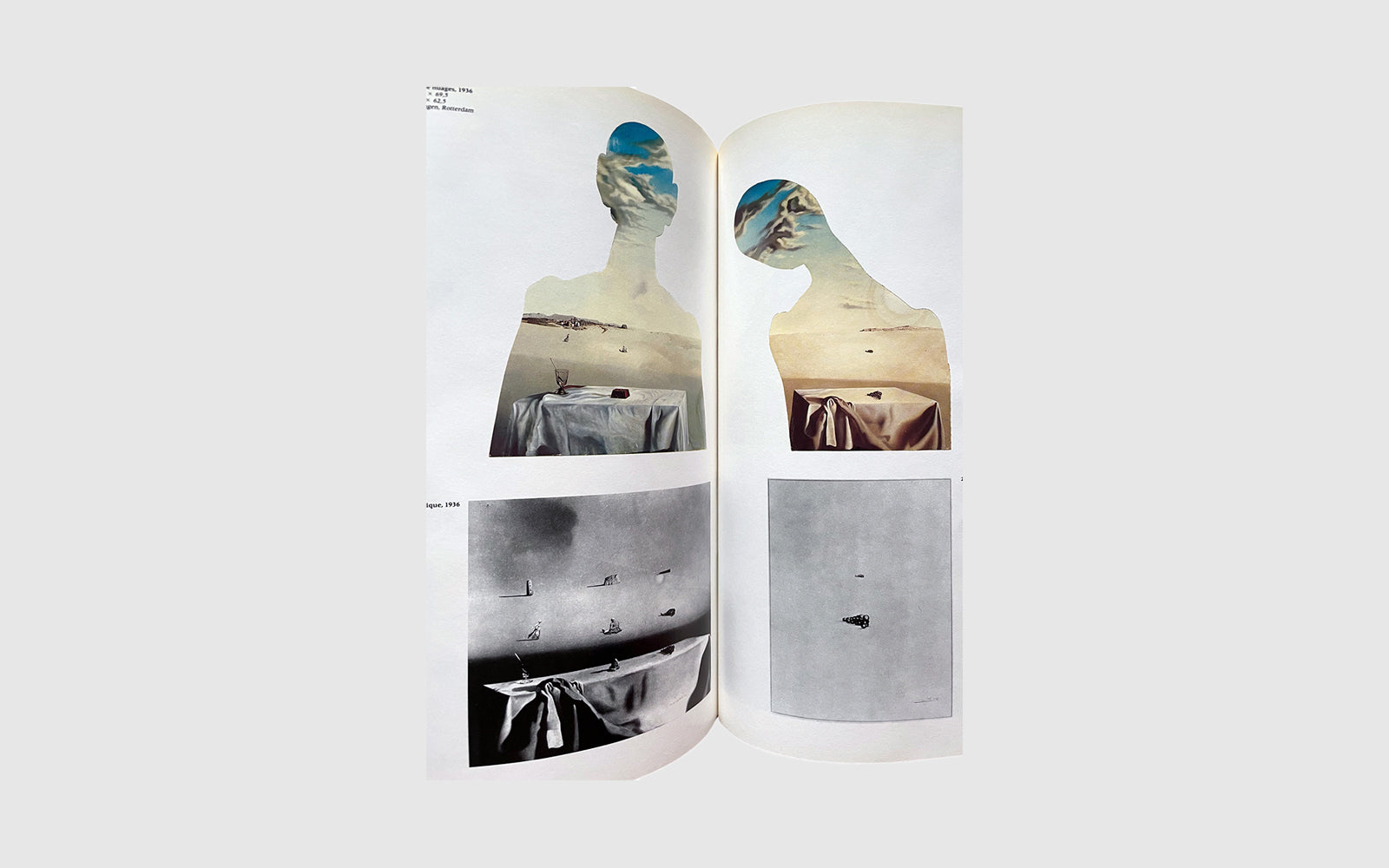 FAW, product: Salvador Dali 1920-1980 (Fig. 6)