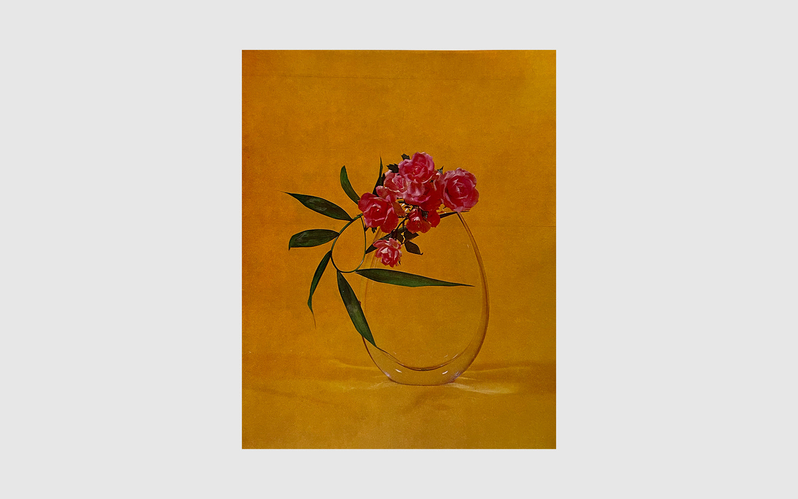 FAW, product: The Art of Arranging Flowers (Fig. 7)