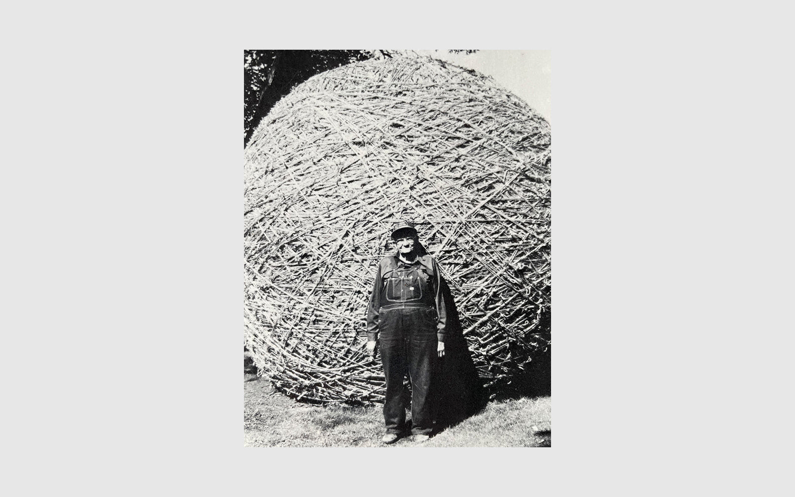 The Passionate Collector