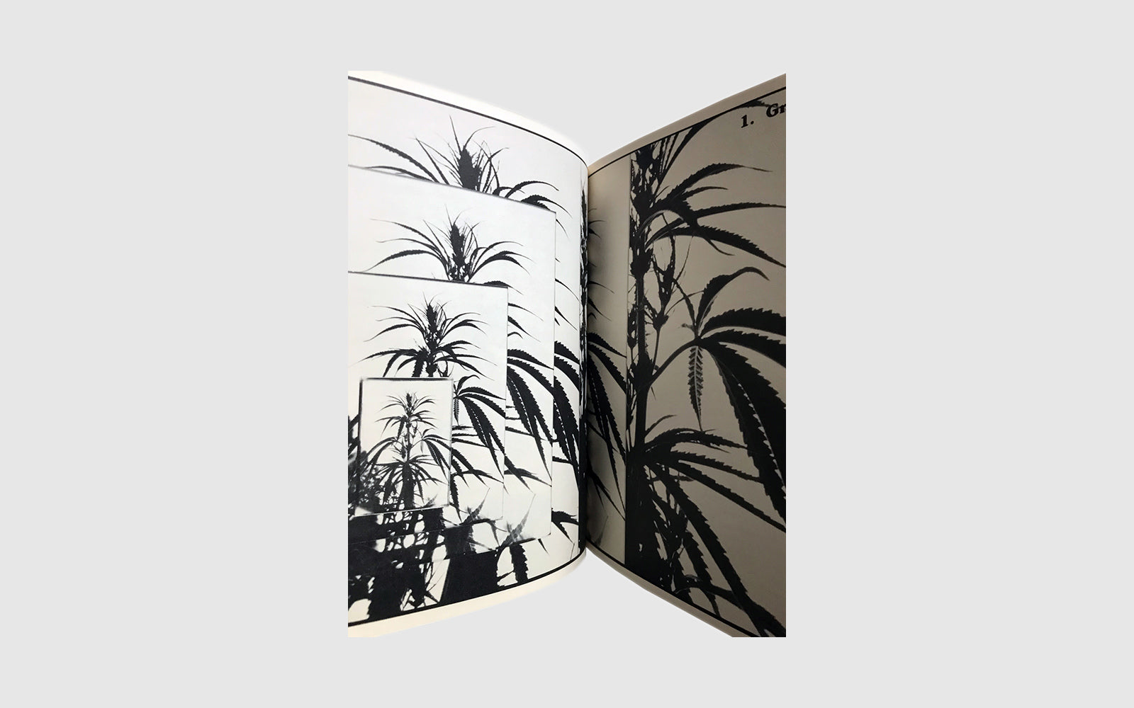 The book of POT