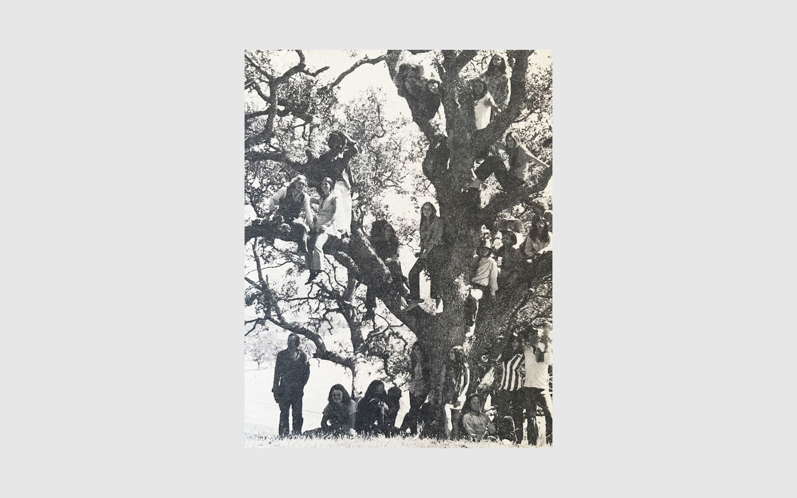 Whole Earth Catalog