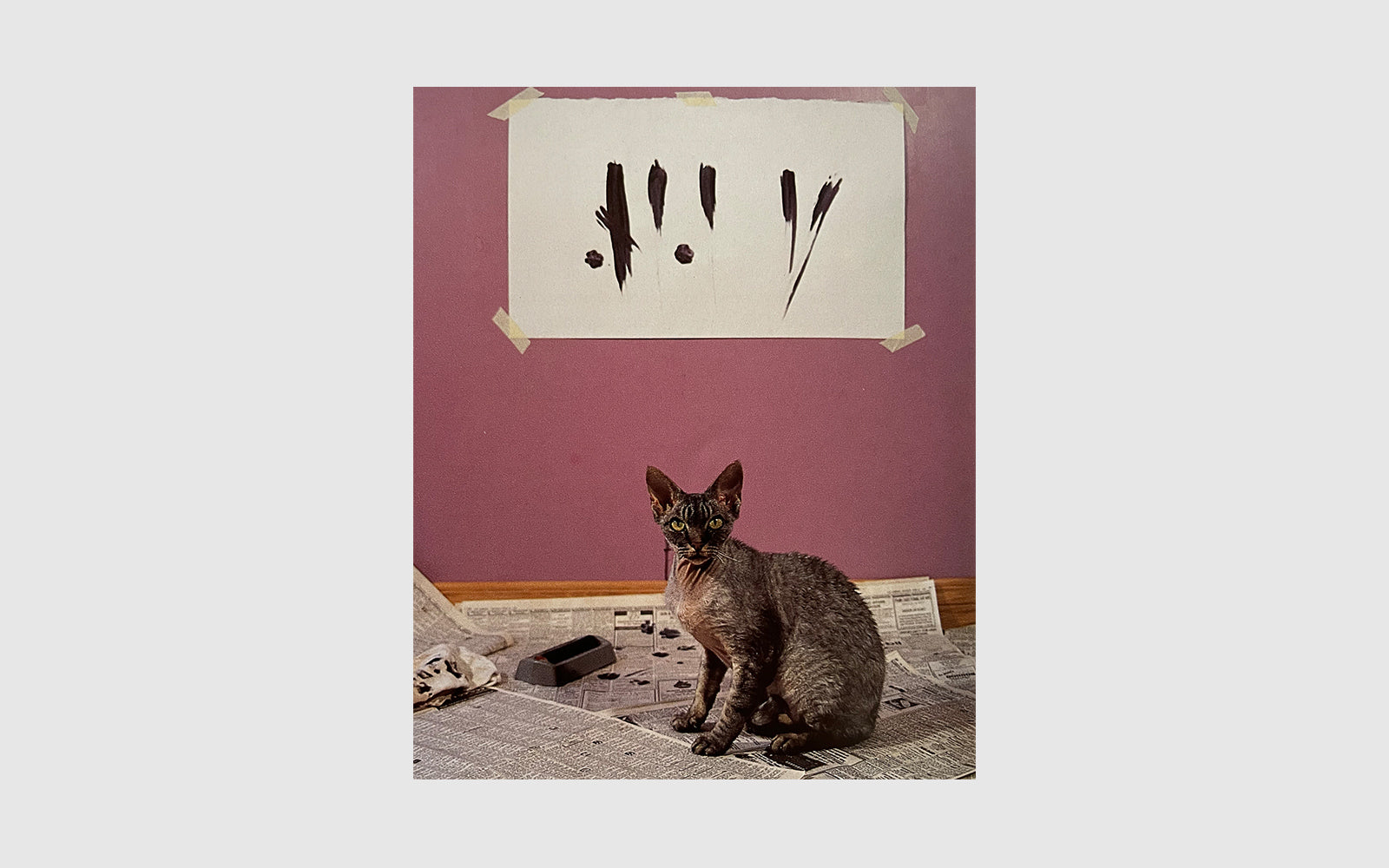 Why Cats Paint