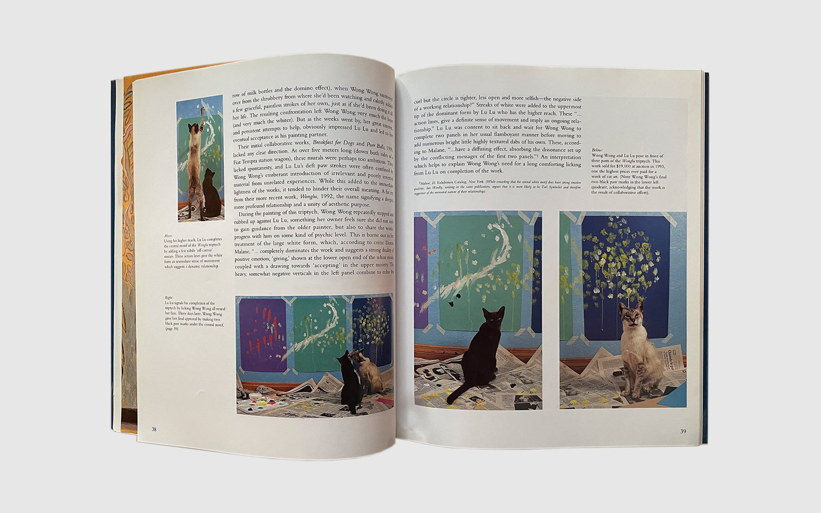 Why Cats Paint