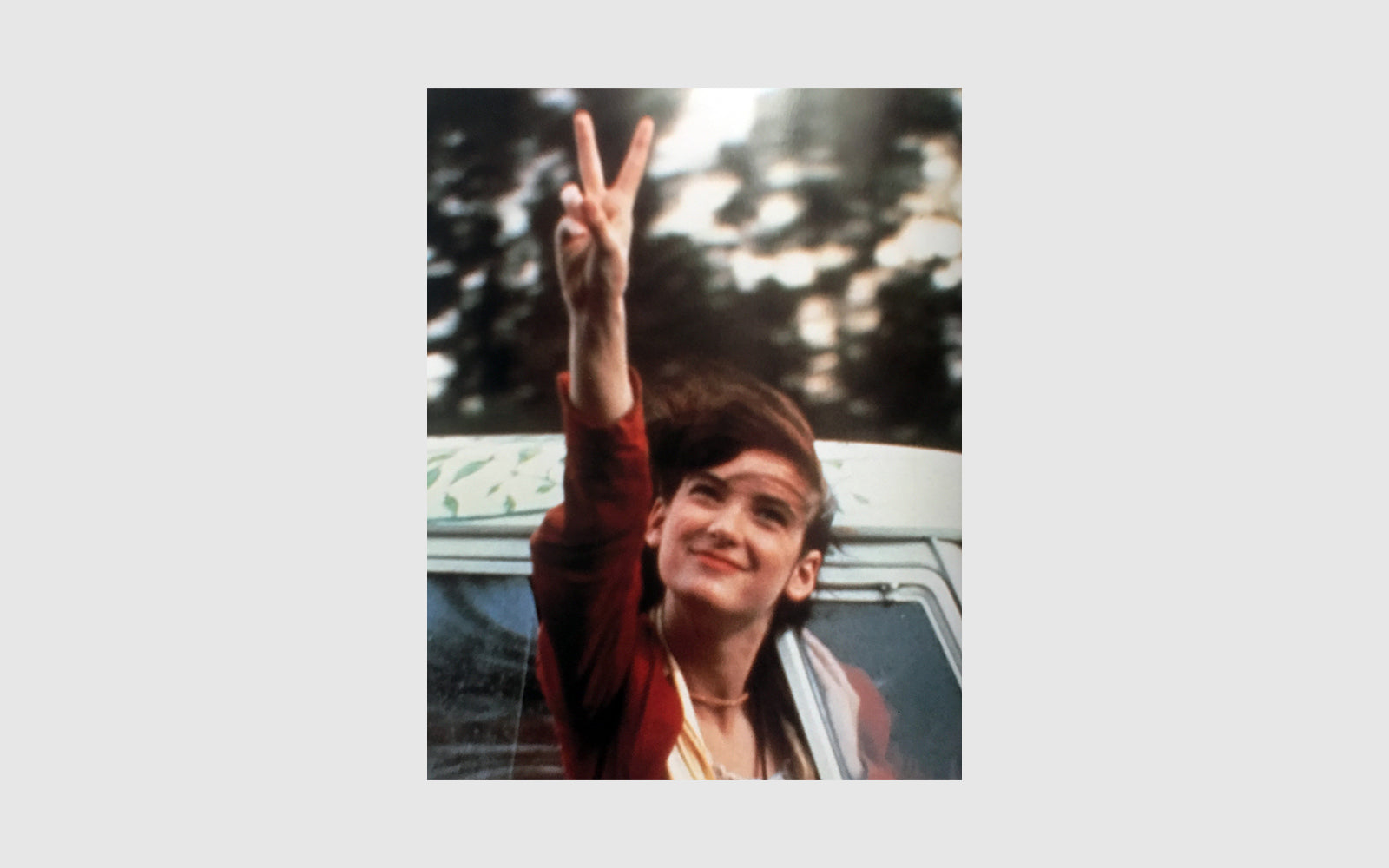 FAW, product: Winona Ryder Icon Book (Fig. 6)