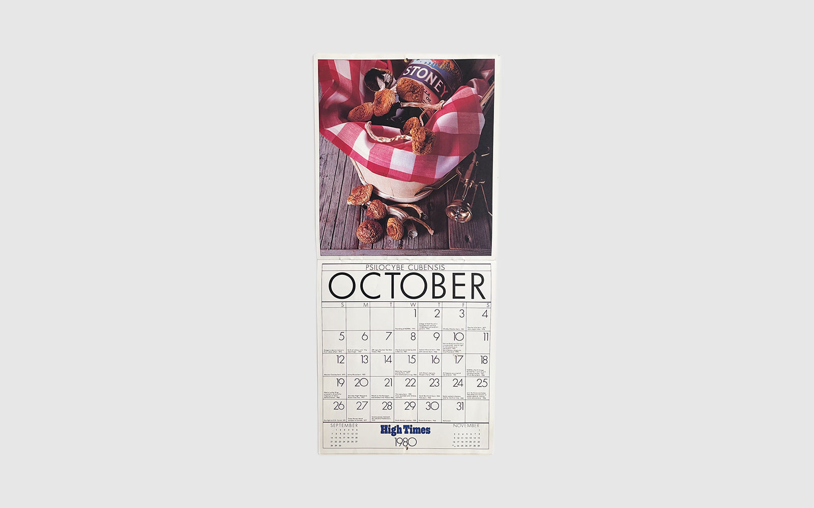 FAW, product: 1980 HIGH TIMES Calendar (Fig. 4)