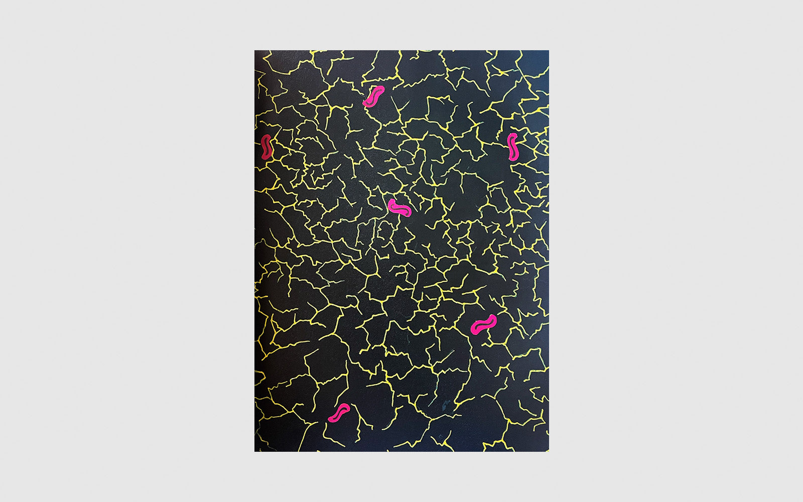 FAW, product: Alchimia: Contemporary Italian Design (Fig. 6)