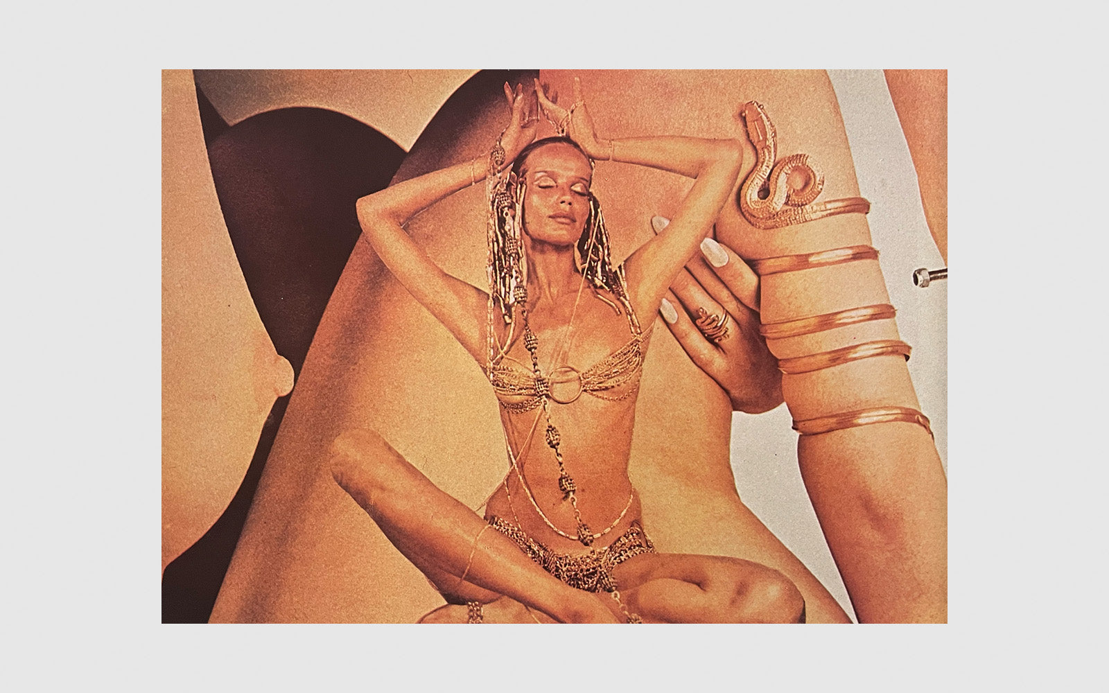 FAW, product: Bathing Beauties (Fig. 8)